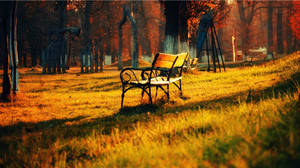 Hd Nature Bench Wallpaper