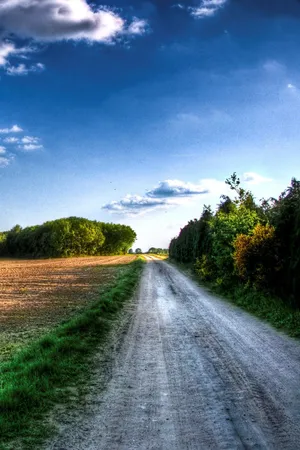 Hd Nature Phone Grass Field Road Wallpaper