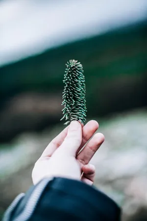 Hd Nature Phone Person Hand Wallpaper