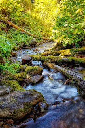 Hd Nature Phone River Wallpaper
