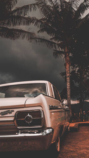 Hd Old Car Near Palm Tree Wallpaper