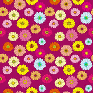 Hd Pattern Multi-colored Daisies Wallpaper