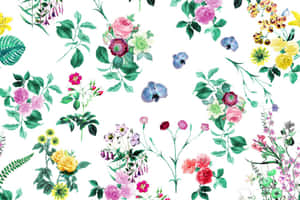 Hd Pattern Multi-colored Flowers Wallpaper