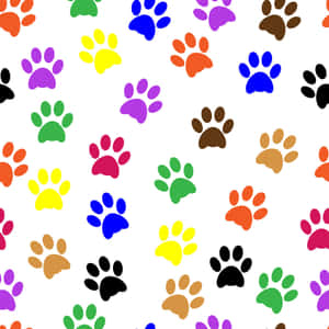 Hd Pattern Paw Prints Wallpaper