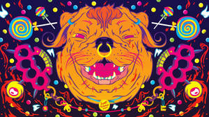 Hd Psychedelic Space Dog Wallpaper