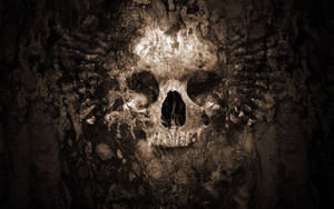 Hd Skull Buried In The Dirt Wallpaper