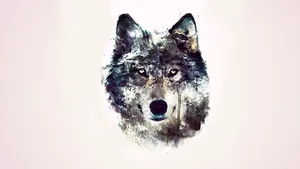 Hd Wolf Watercolor Art Wallpaper