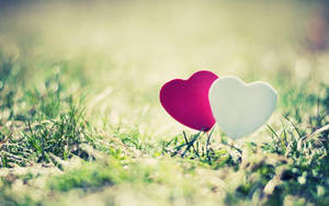 Hearts In Grass Love Nature Wallpaper