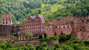Heidelberg Castle Made Of Red Sandstone Wallpaper