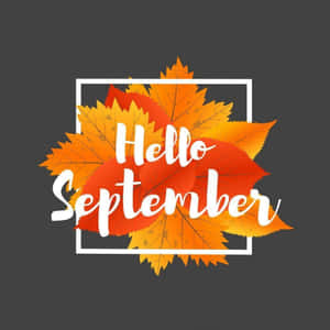 Hello September Greeting With Animated Autumn Leaves Wallpaper