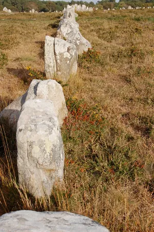 High Angle View Of Carnac Stones Wallpaper