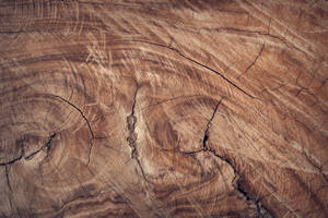 High Definition Abstract Design Wallpaper