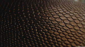 High-quality Leather – The Perfect Choice For Upscale Interiors Wallpaper