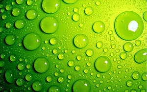 High Res Green Water Droplets Wallpaper