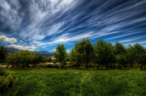 High Resolution Forest And Sky Wallpaper