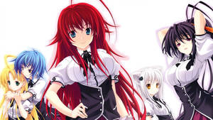 High School Dxd Girls Wallpaper