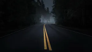Highway Covered In Shadow Wallpaper