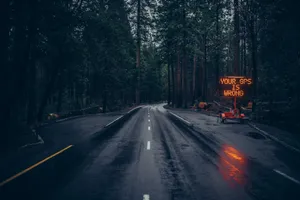 Highway Surrounded By Tall Trees Wallpaper
