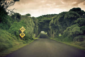 Highway With Yellow Road Signs Wallpaper