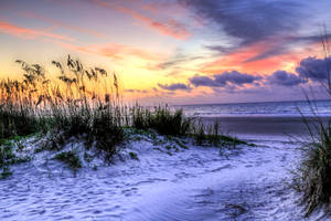 Hilton Head Island South Carolina Wallpaper