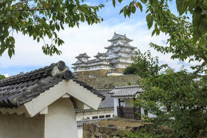 Himeji Castle And Tree Leaves Wallpaper