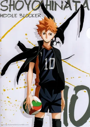 Hinata Shouyo In A Determined Stance, Ready To Reach Victory. Wallpaper