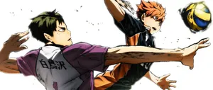 Hinata Shouyou Is A Passionate And Determined High School Student. Wallpaper