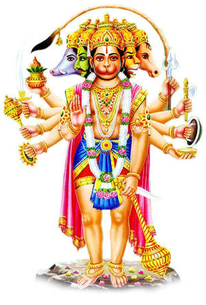 Hindu Deity Panchmukhi Hanuman In White Wallpaper