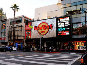 Hollywood Street Hard Rock Café Wallpaper
