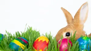 'hop Into Easter With A Smile!' Wallpaper