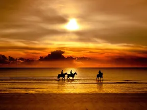 Horse Riding Romantic Beach Sunset View Wallpaper