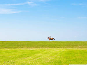 Horse Riding Vast Pasture Wide Grass Field Wallpaper