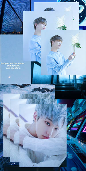 Hoshi And Dino Wallpaper