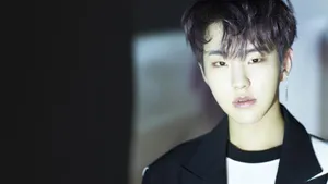 Hoshi With Purple Hair Wallpaper