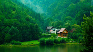 Houses In A Peaceful Woods Wallpaper