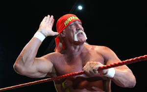 Hulk Hogan Wrestling Legend Wallpaper