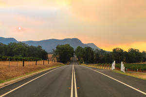 Hunter Valley Road Of Australia Wallpaper