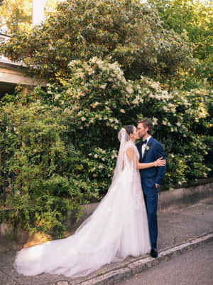 Husband And Wife Kissing By Tree Wedding Wallpaper