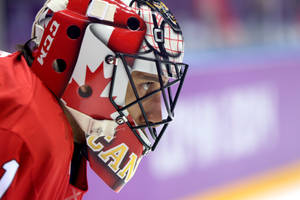 Ice Hockey Roberto Luongo Wallpaper