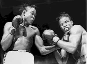 Iconic Moment Of Kid Gavilan Delivering Surprising Punch Wallpaper