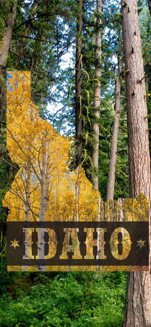 Idaho Forest Park Wallpaper