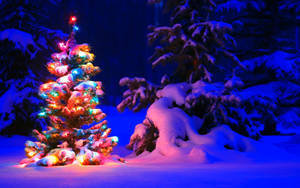 Illuminated Christmas Treein Snowy Forest Wallpaper