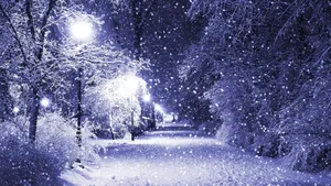 Illuminated Pathway Covered In Snow 4k Wallpaper