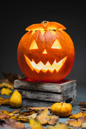 Image A Halloween Pumpkin, Ready For Spooky Festivities! Wallpaper