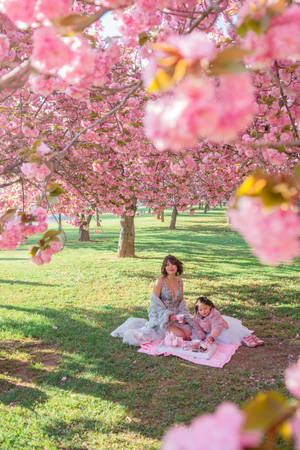 Image Aesthetic Spring Flowers Wallpaper