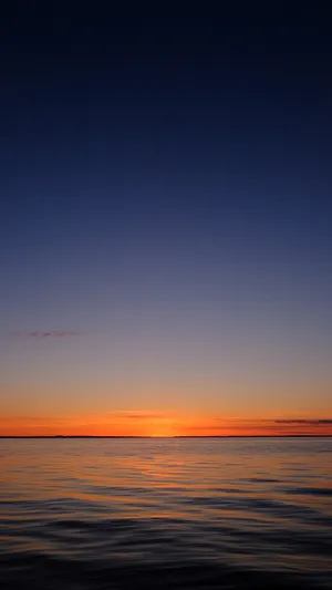 Image Attractive Iphone On A Pink Pastel Backdrop Wallpaper