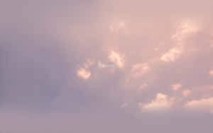 Image Discover The Freedom Of Working On A Portable Desktop Wallpaper