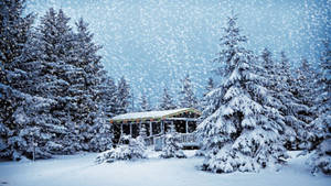 Image Enjoying A Snowy Christmas In The Mountains Wallpaper