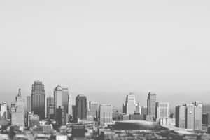 Image Exclusive View Of Skyscrapers In A Black And White City Wallpaper