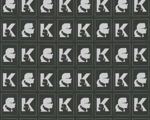 Image Legendary Fashion Designer Karl Lagerfeld Wallpaper